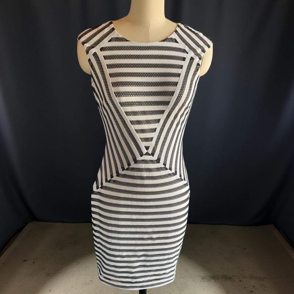 Caché Chic & Sexy Black and White Striped Zippered Back Dress